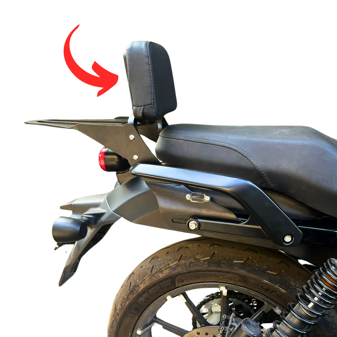 Pillion Backrest – HD X440
