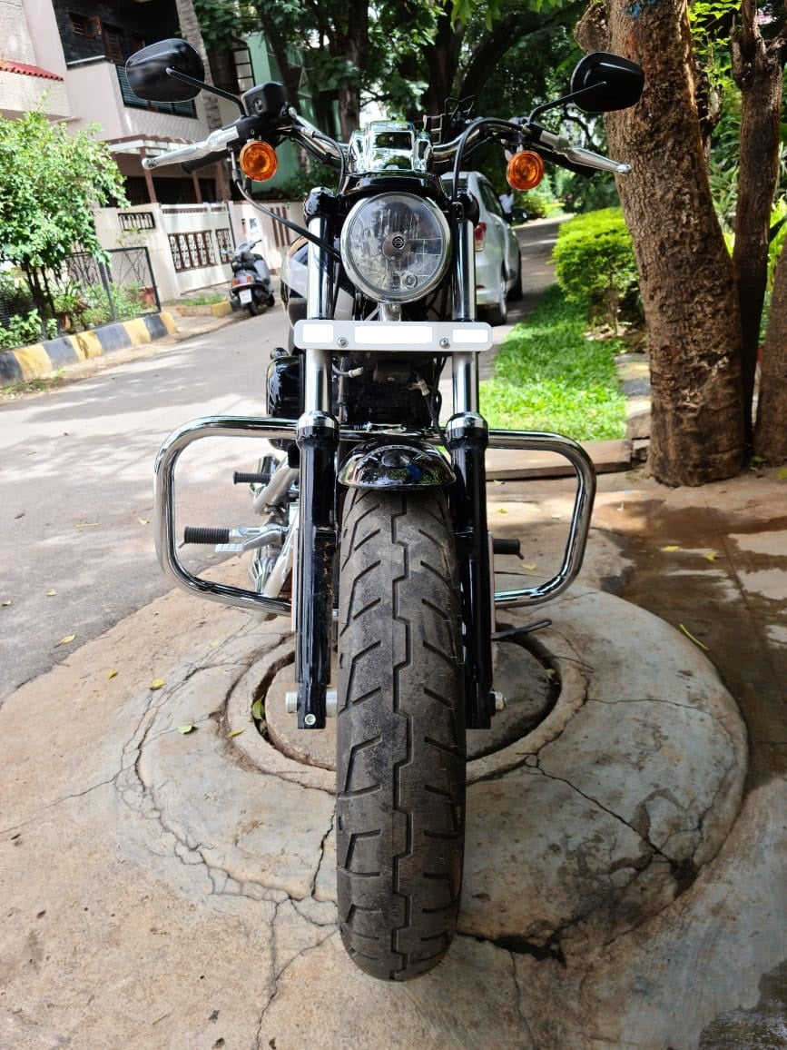 Custom 1200- Butterfly Engine guard/Crash guard