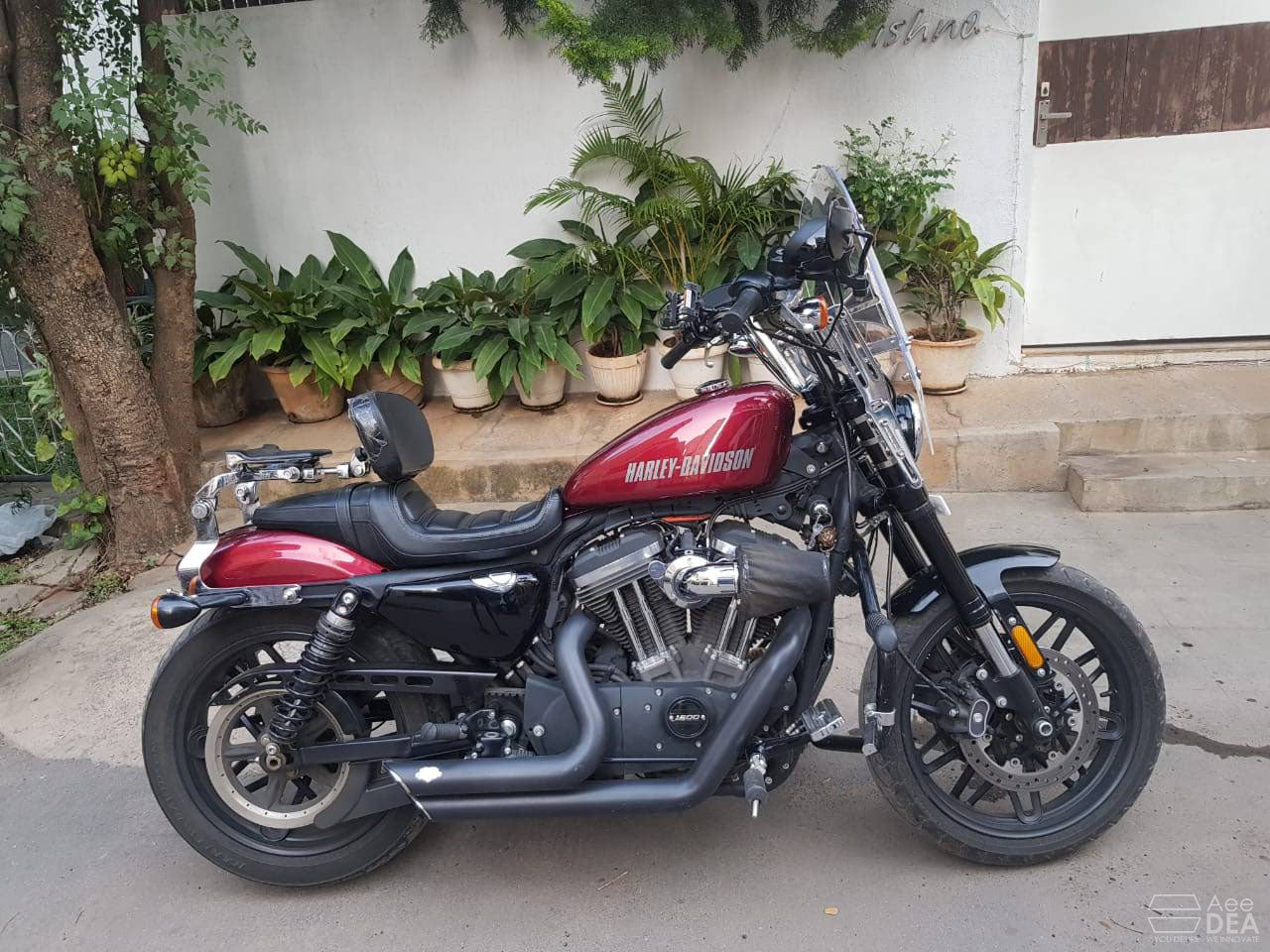 Roadster 1200 – Fully Adjustable Windshield – Split Tall Type