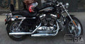 Custom 1200 – Full Seat Optional Rider Backrest