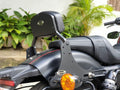 Roadster 1200 – Pillion Backrest – Moulded Backrest Stout and Tall