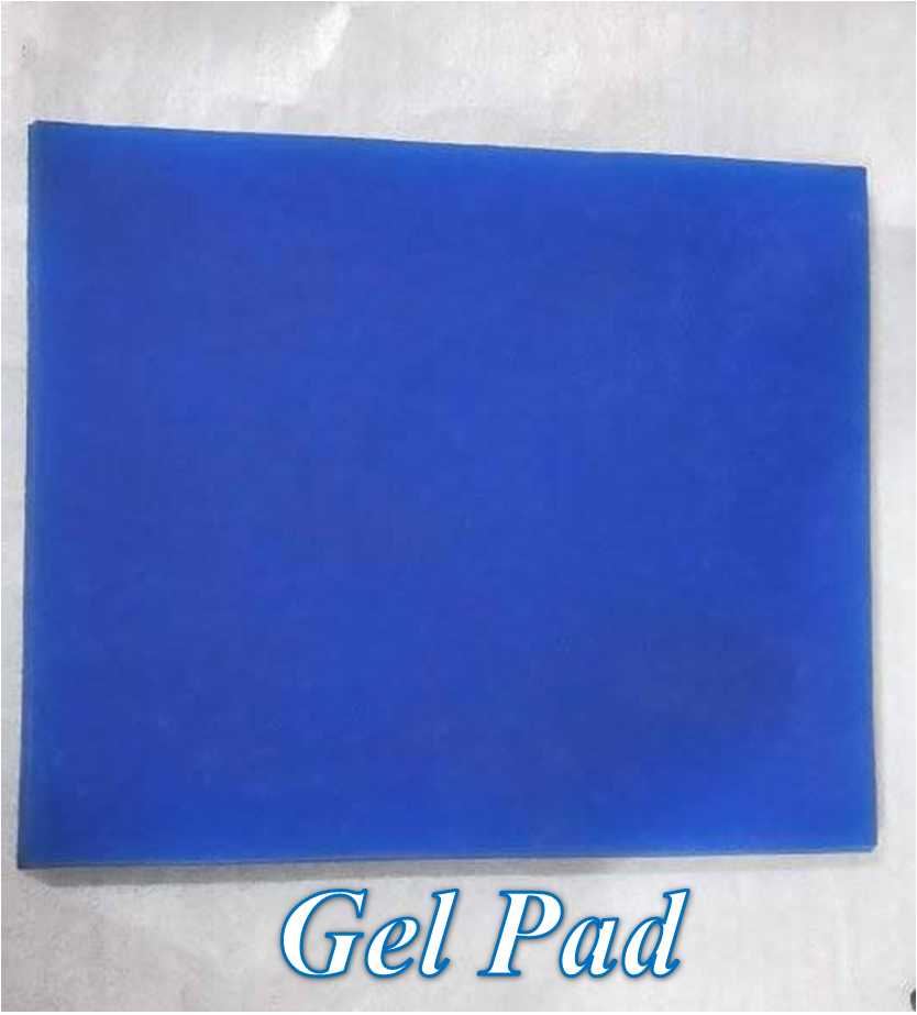 Sportster 48 – Solo Seat Optional Rider Backrest