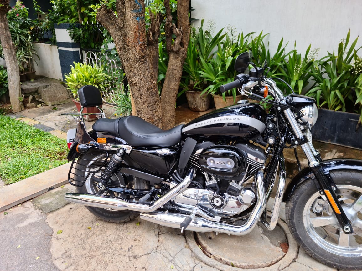 Custom 1200- Butterfly Engine guard/Crash guard