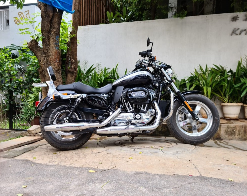 Custom 1200- Butterfly Engine guard/Crash guard