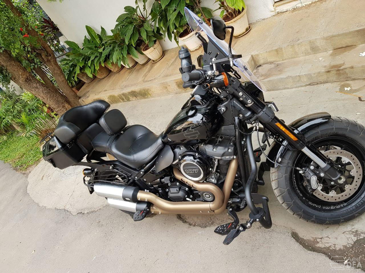 Fatbob 2018 – Touring Top Box