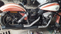 Saddlebag Carriage/ Rack