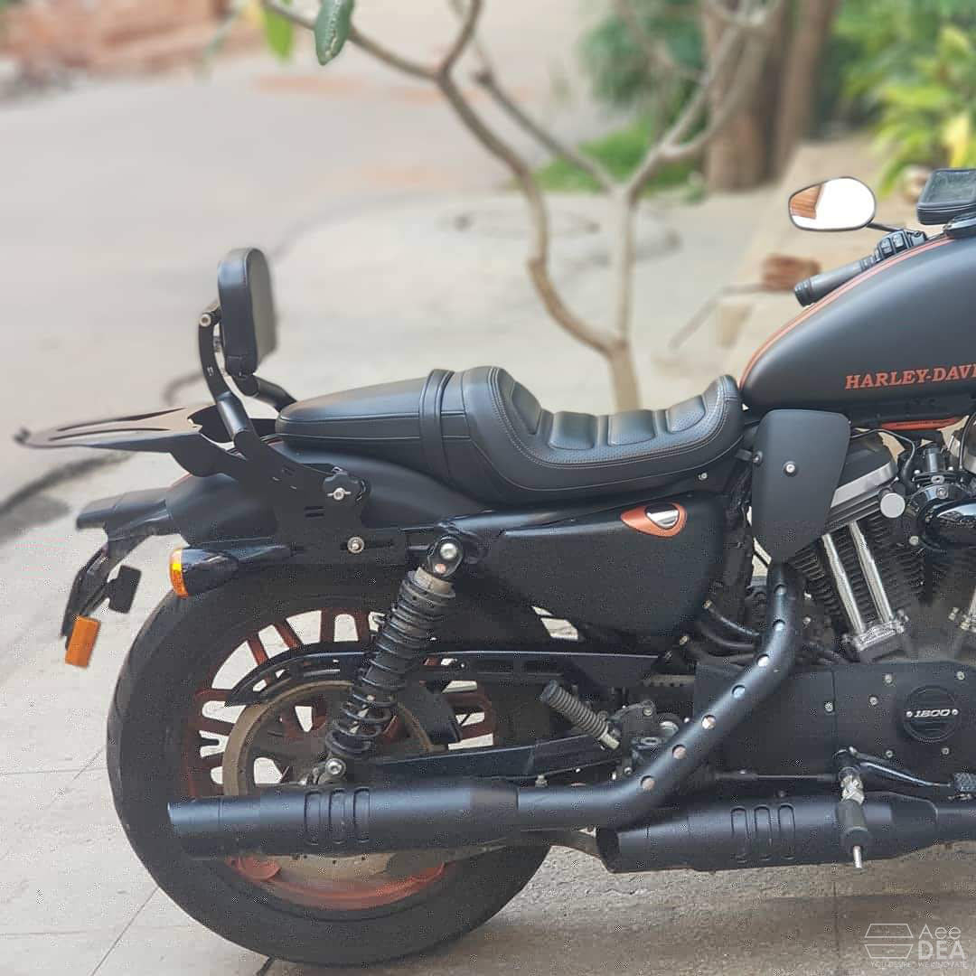 Roadster 1200 – Rider Pillion Backrest