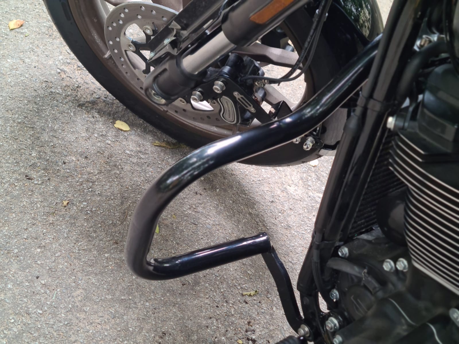 Low Rider- Moustache Engine guard/Crash guard