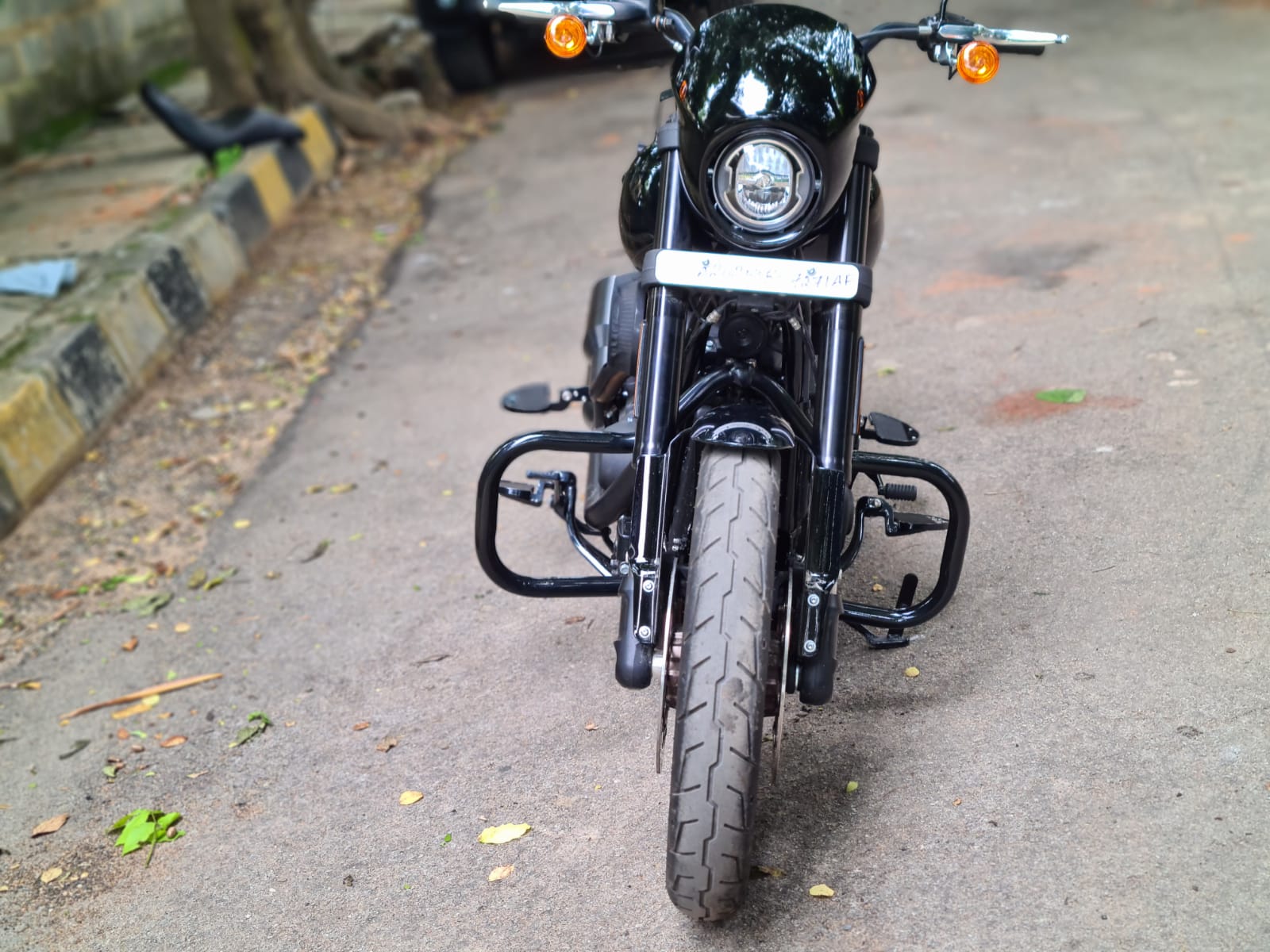 Safe Rider Engine Protector Low Rider- Moustache Engine guard/Crash guard