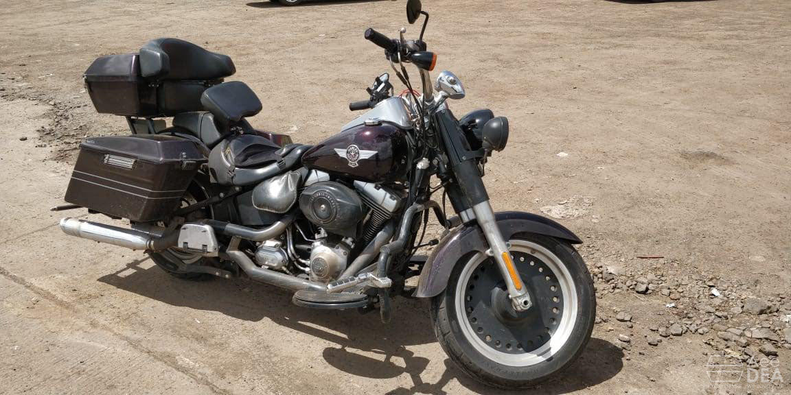 Harley Fat Boy Long Distance Touring Luggage Box