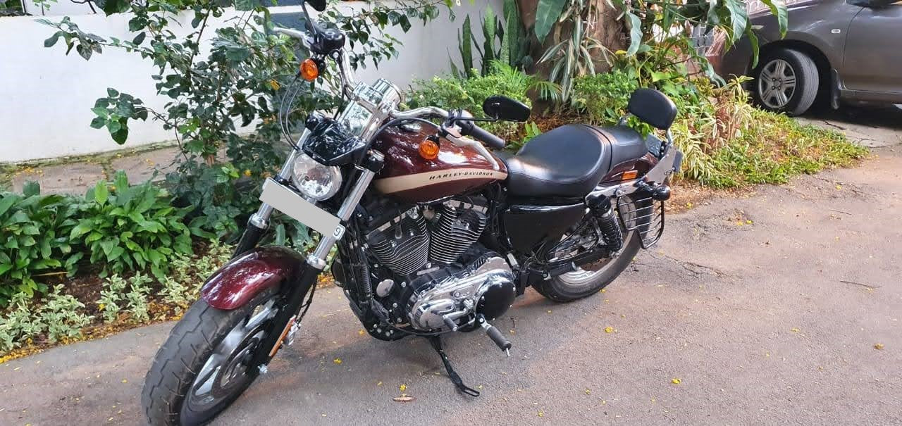 Custom 1200 – Pillion Backrest – Moulded Backrest Stout and Tall