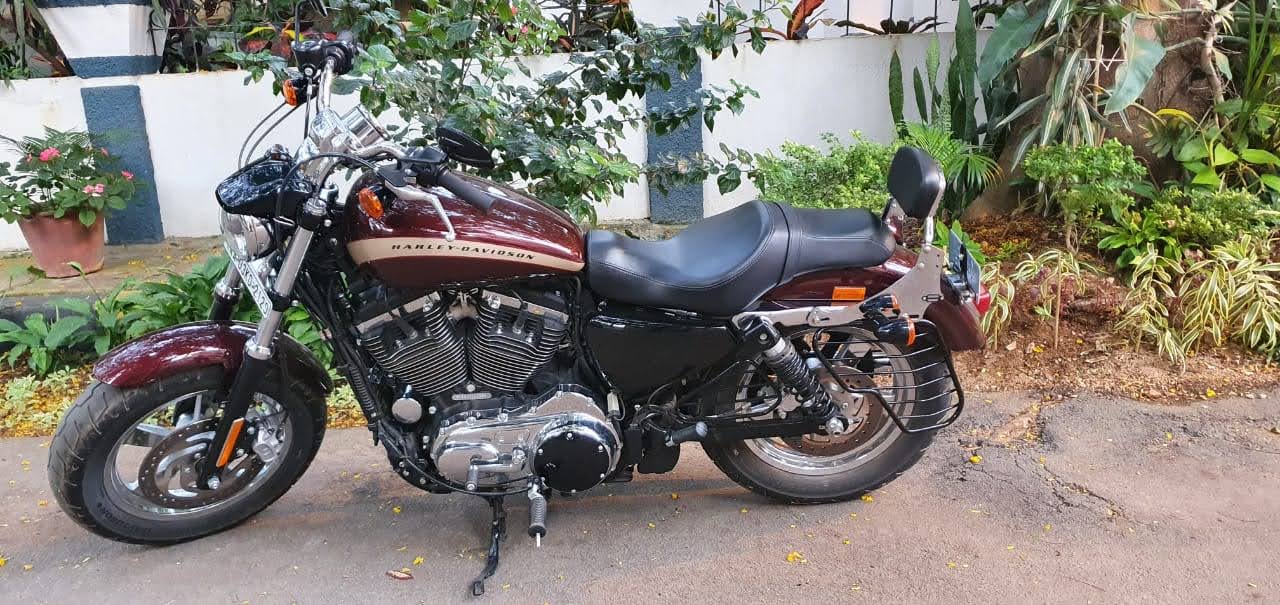 Custom 1200 – Pillion Backrest – Moulded Backrest Stout and Tall