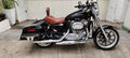 Custom 1200 – Side Panniers
