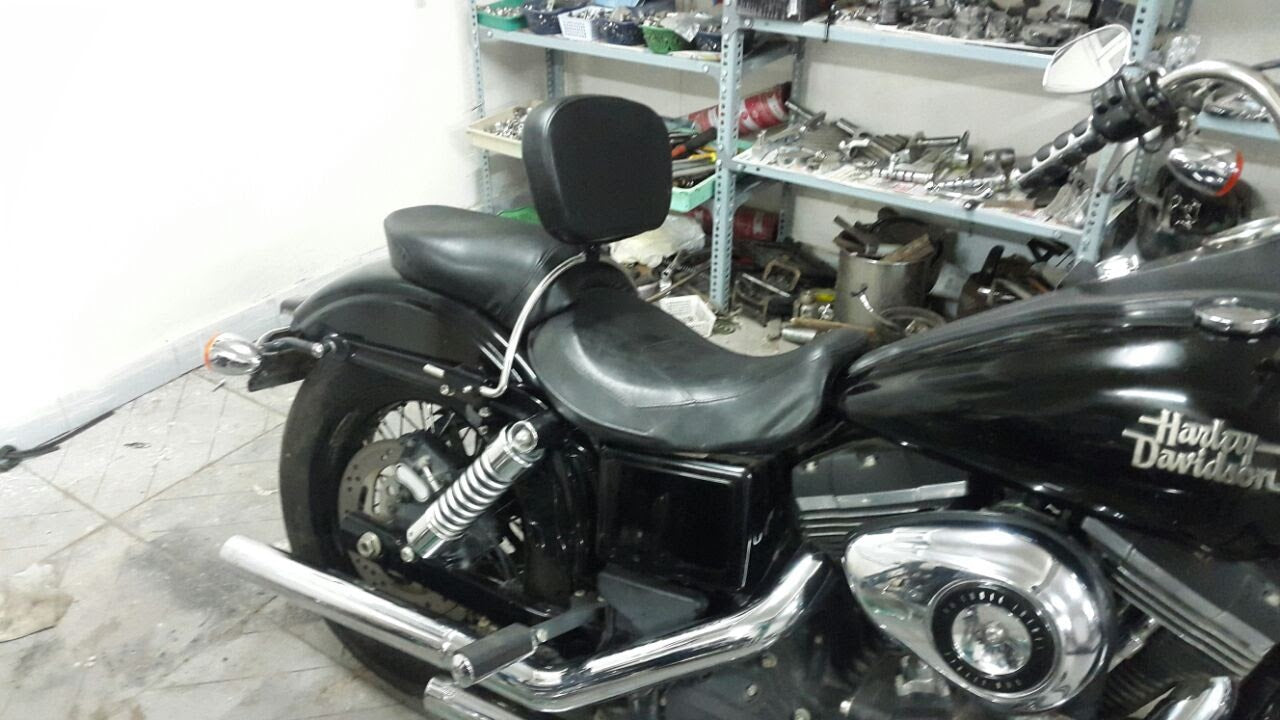 Sportster 48 – Rider Backrest(Snap on bike frame)